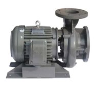 MÁY BƠM NƯỚC LY TÂM ĐẦU LIỀN TECO 2P, 4P